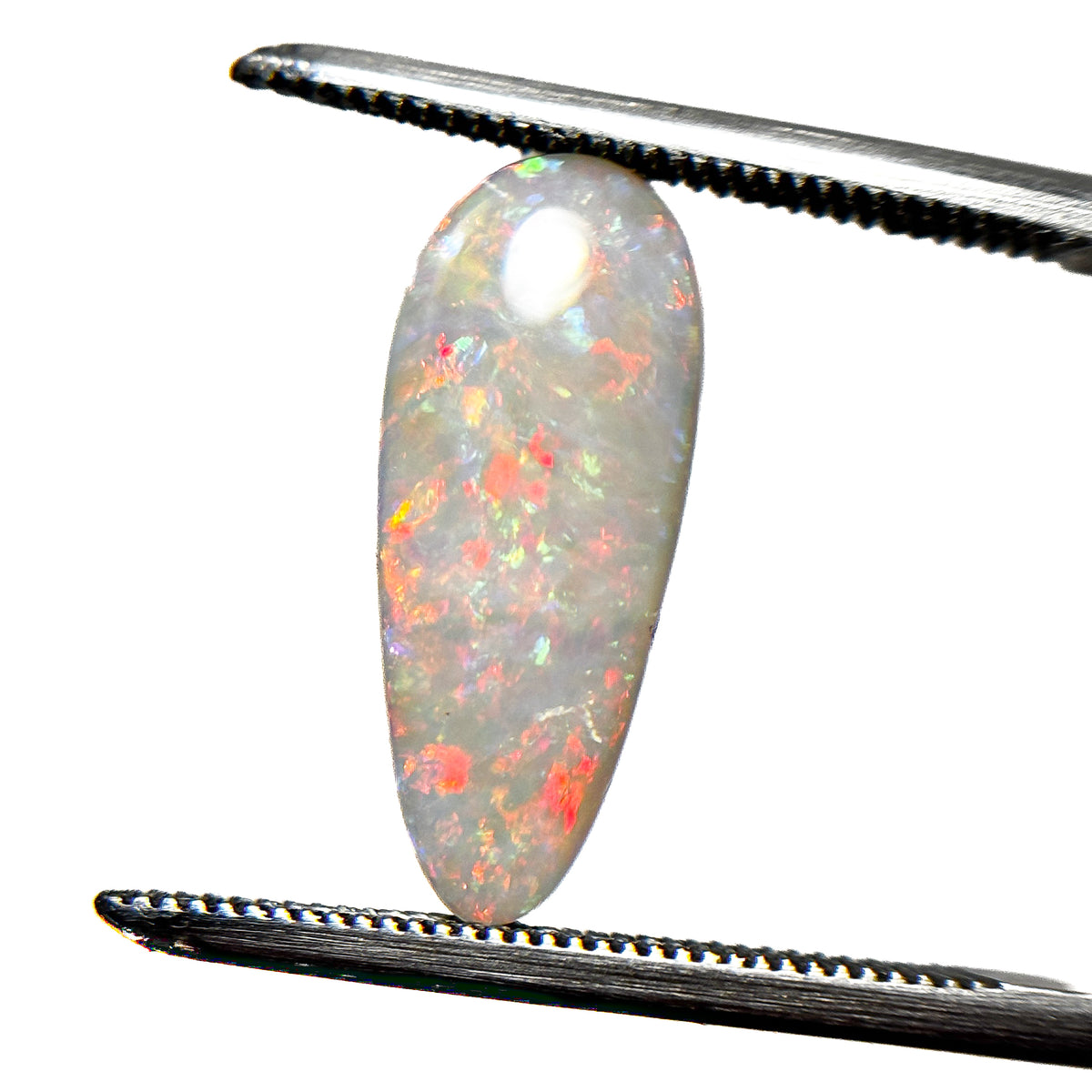 White Opal Red Multicolour 16.5x7x3 Cabochon Pear 2.1 Carat