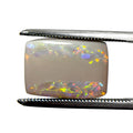 Semi Black Opal Multicolour 14x10x4 Cabochon Rectangle 4.9 Carat