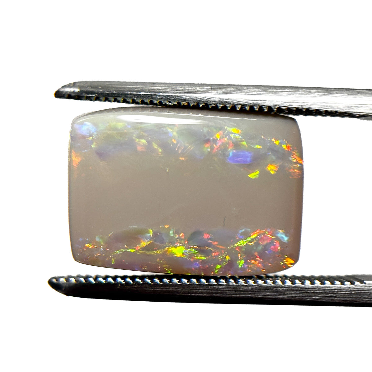 Semi Black Opal Multicolour 14x10x4 Cabochon Rectangle 4.9 Carat