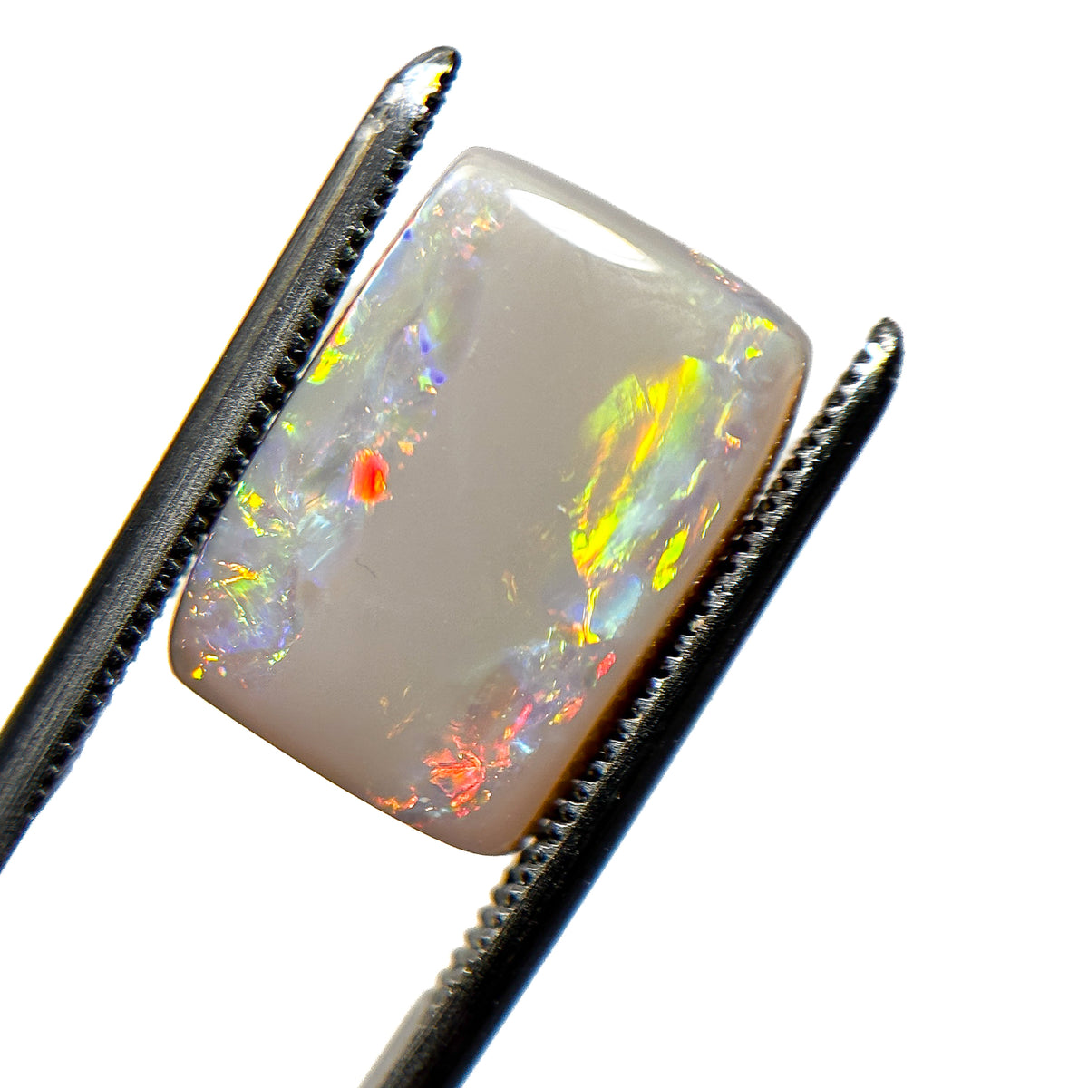 Semi Black Opal Multicolour 14x10x4 Cabochon Rectangle 4.9 Carat