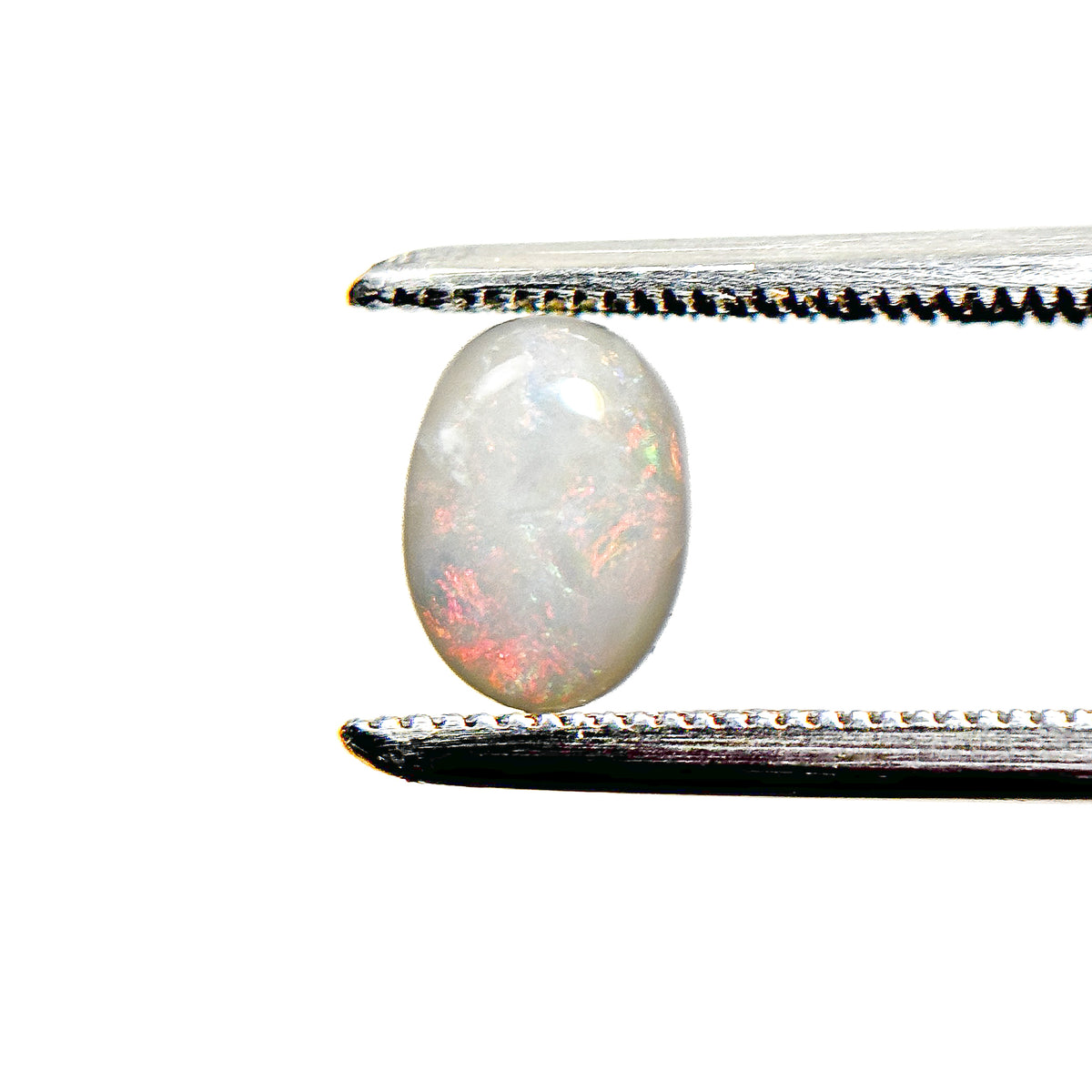 White Opal Multicolour 8x6x3 Cabochon Oval 0.95 Carat