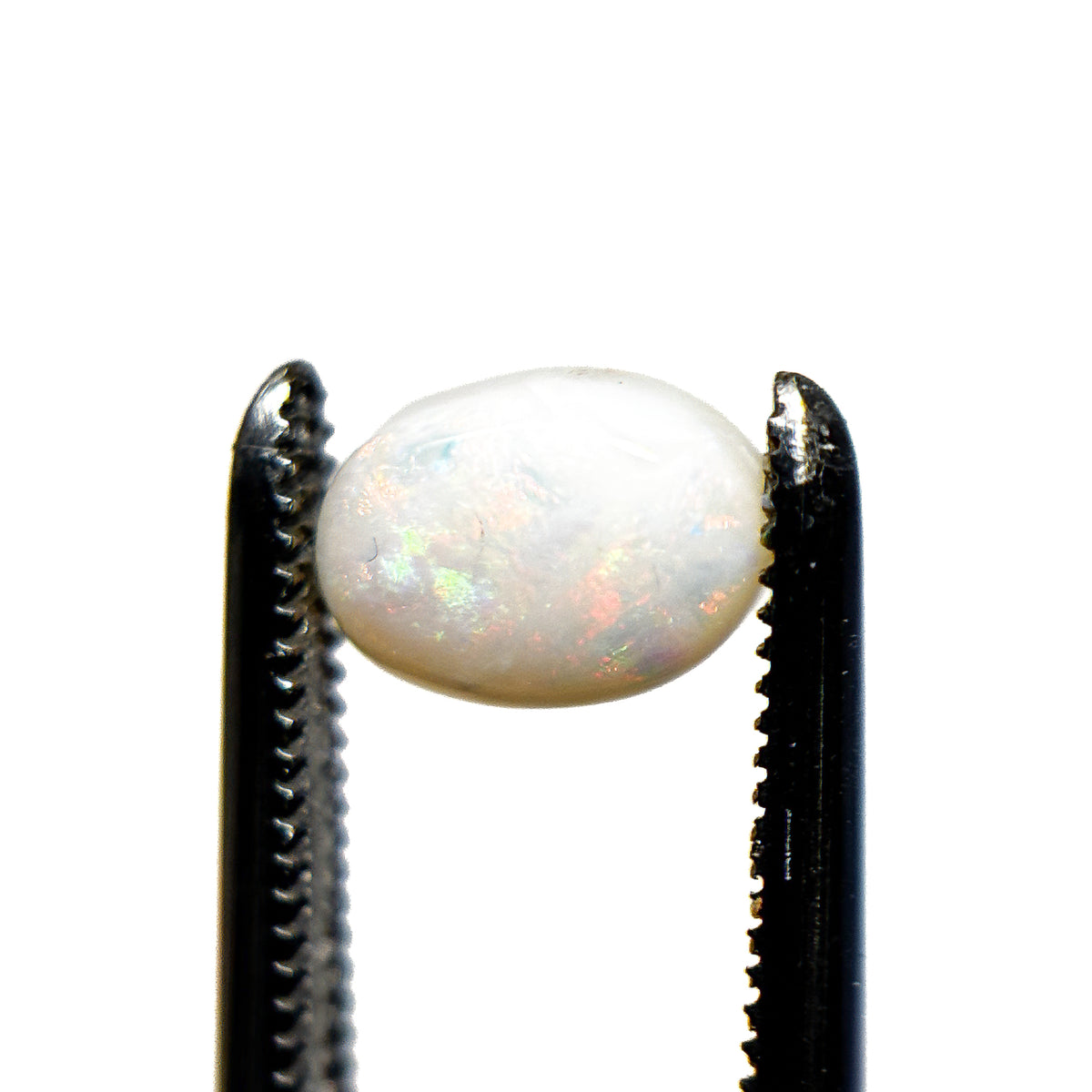 White Opal Multicolour 8x6x3 Cabochon Oval 0.95 Carat