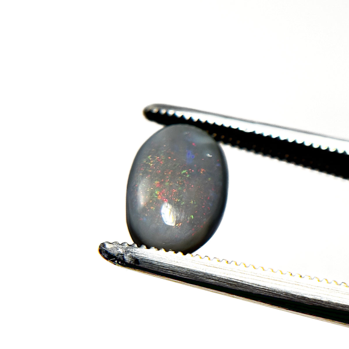 Semi Black Opal Multicolour 10x6.5x3.3 Cabochon Oval 1.5 Carat
