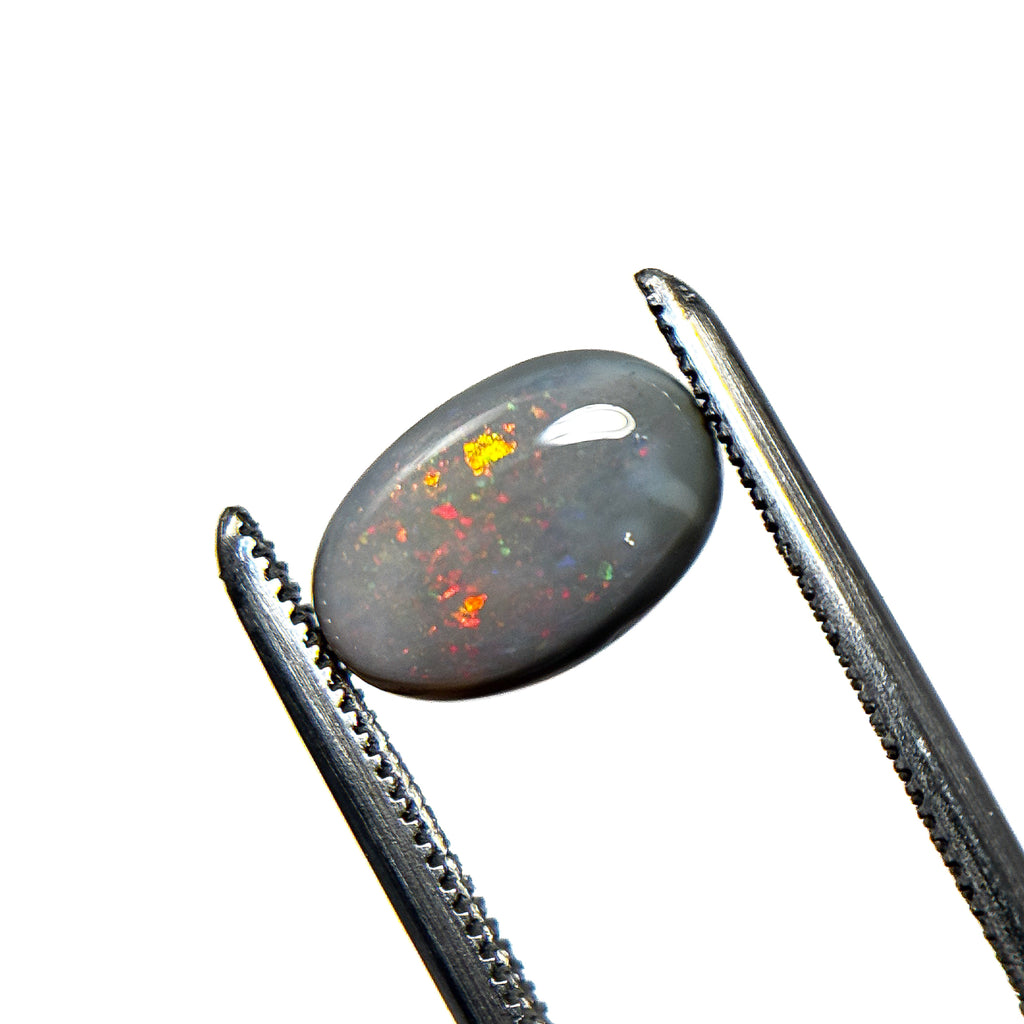 Semi Black Opal Multicolour 10x6.5x3.3 Cabochon Oval 1.5 Carat
