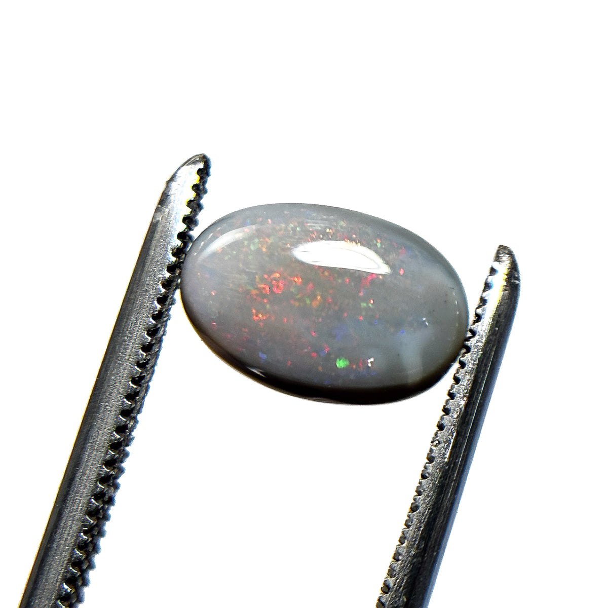 Semi Black Opal Multicolour 10x6.5x3.3 Cabochon Oval 1.5 Carat