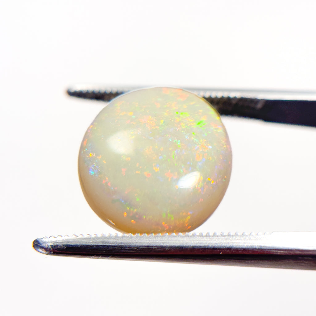 White Opal Red Multicolour 14x13x5 Cabochon Oval 6.7 Carat