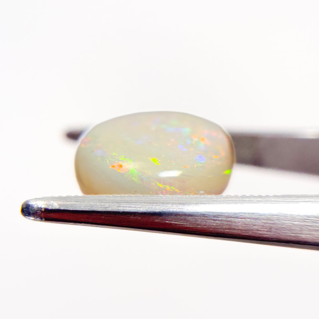 White Opal Red Multicolour 14x13x5 Cabochon Oval 6.7 Carat