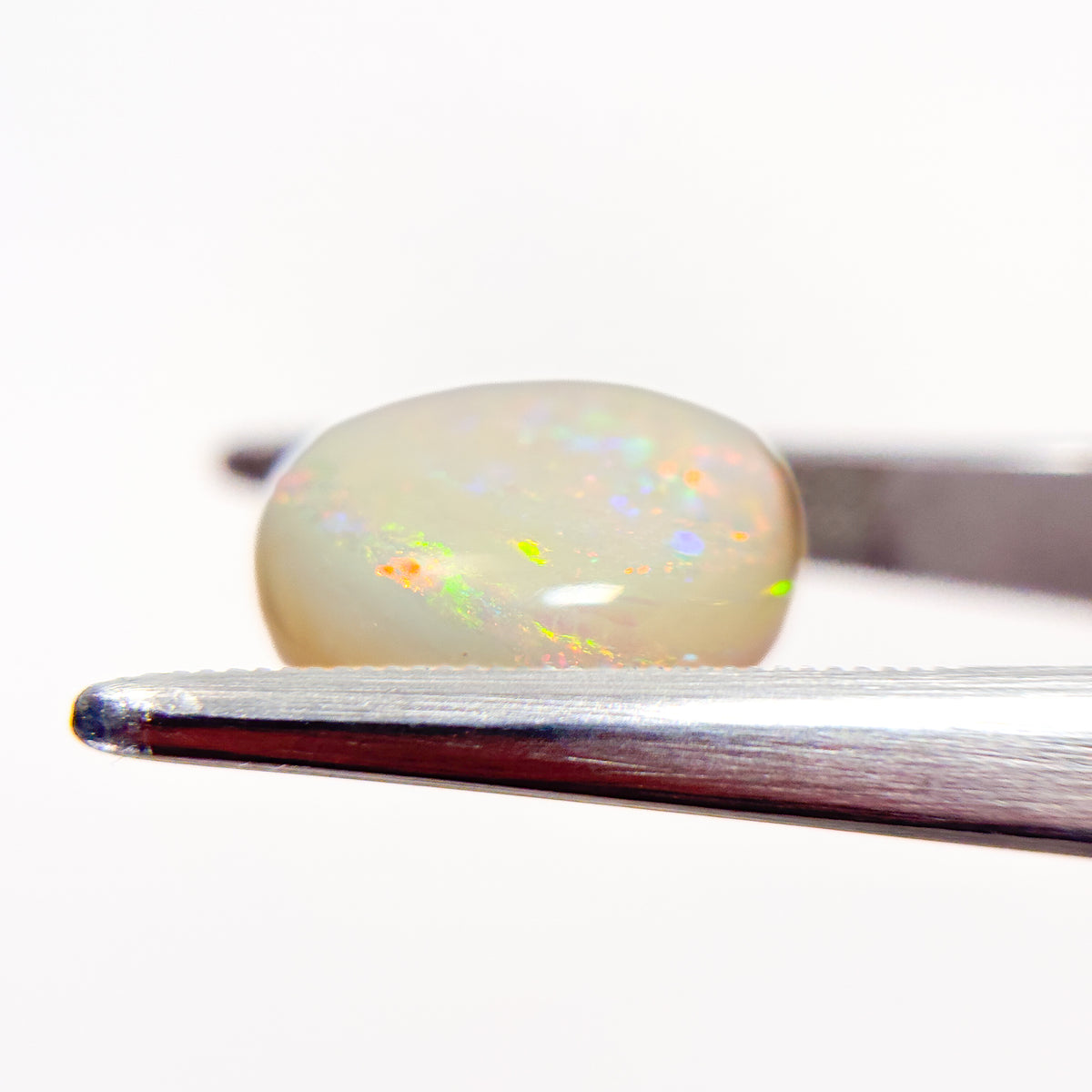 White Opal Red Multicolour 14x13x5 Cabochon Oval 6.7 Carat