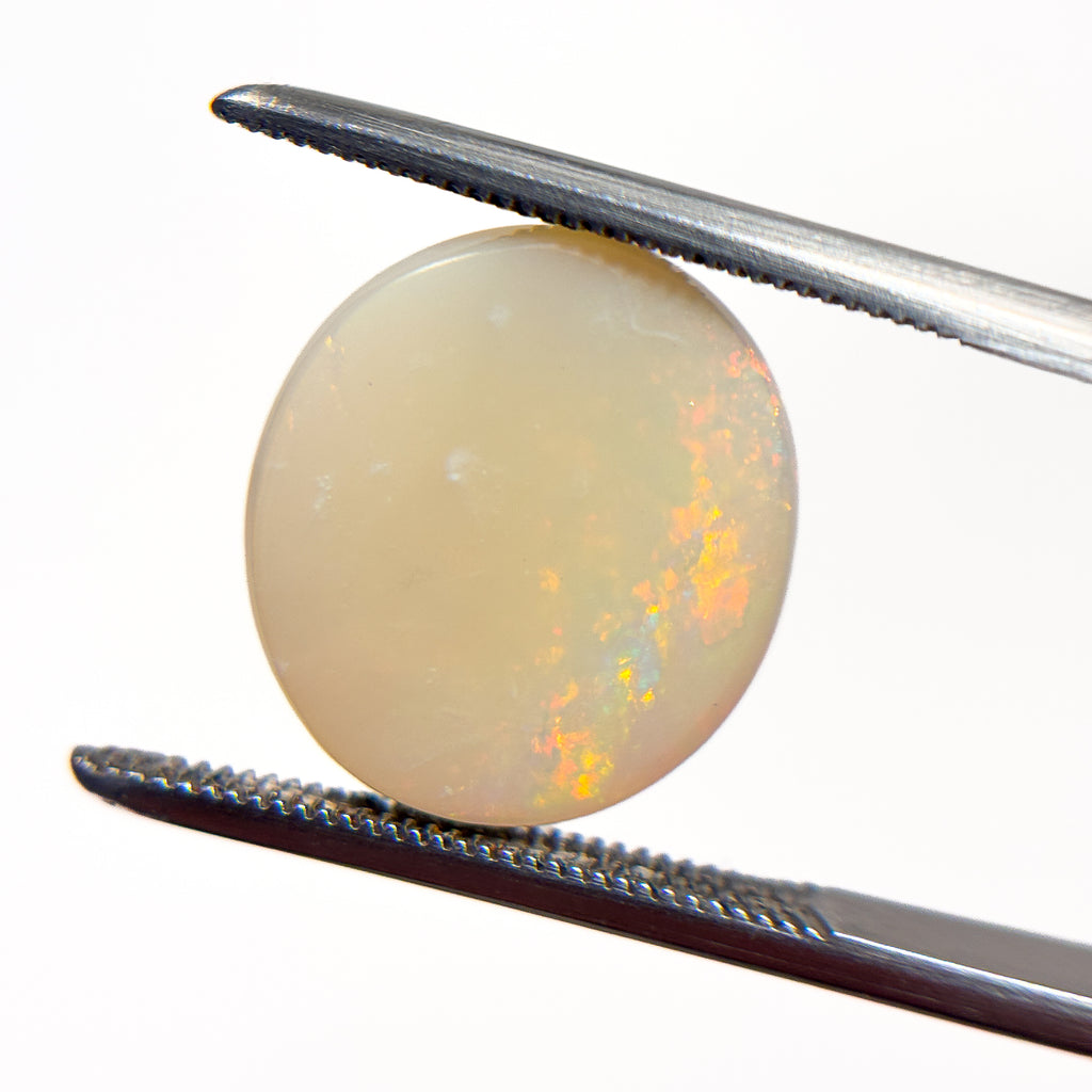 White Opal Red Multicolour 14x13x5 Cabochon Oval 6.7 Carat