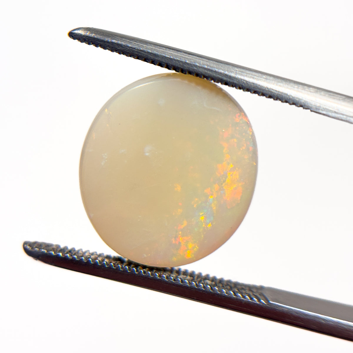 White Opal Red Multicolour 14x13x5 Cabochon Oval 6.7 Carat