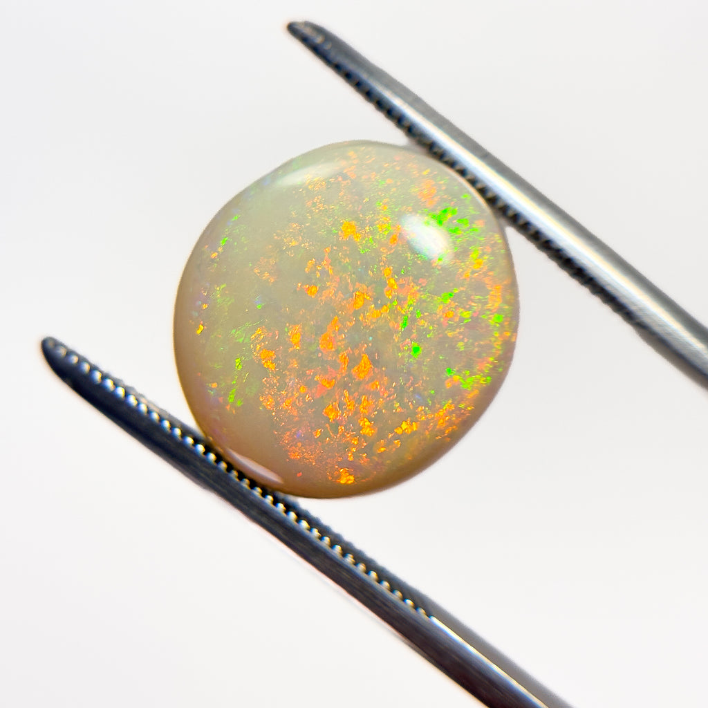 White Opal Red Multicolour 14x13x5 Cabochon Oval 6.7 Carat