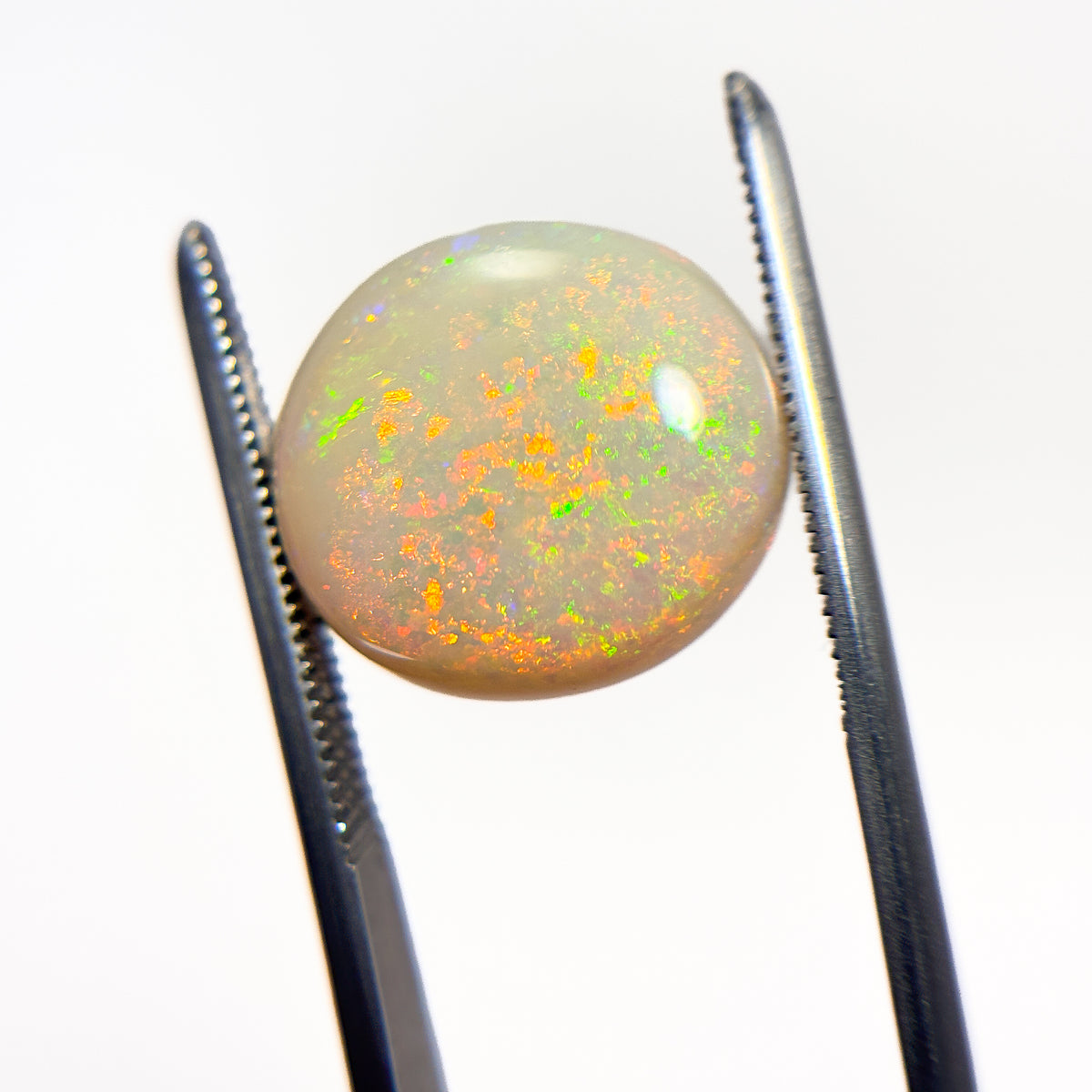 White Opal Red Multicolour 14x13x5 Cabochon Oval 6.7 Carat