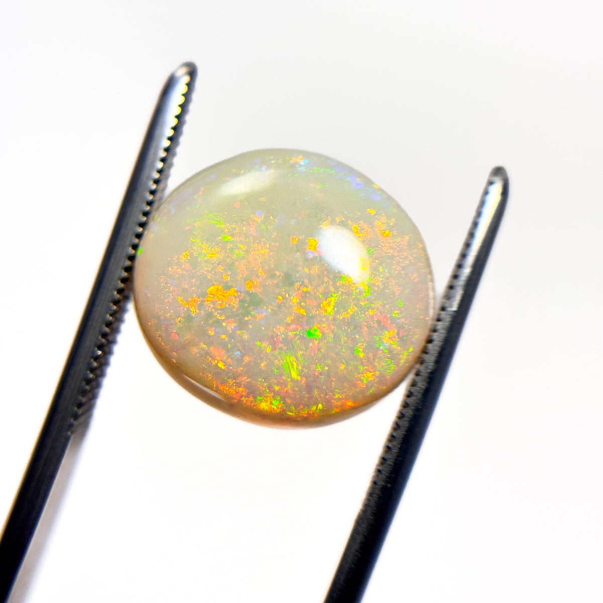 White Opal Red Multicolour 14x13x5 Cabochon Oval 6.7 Carat