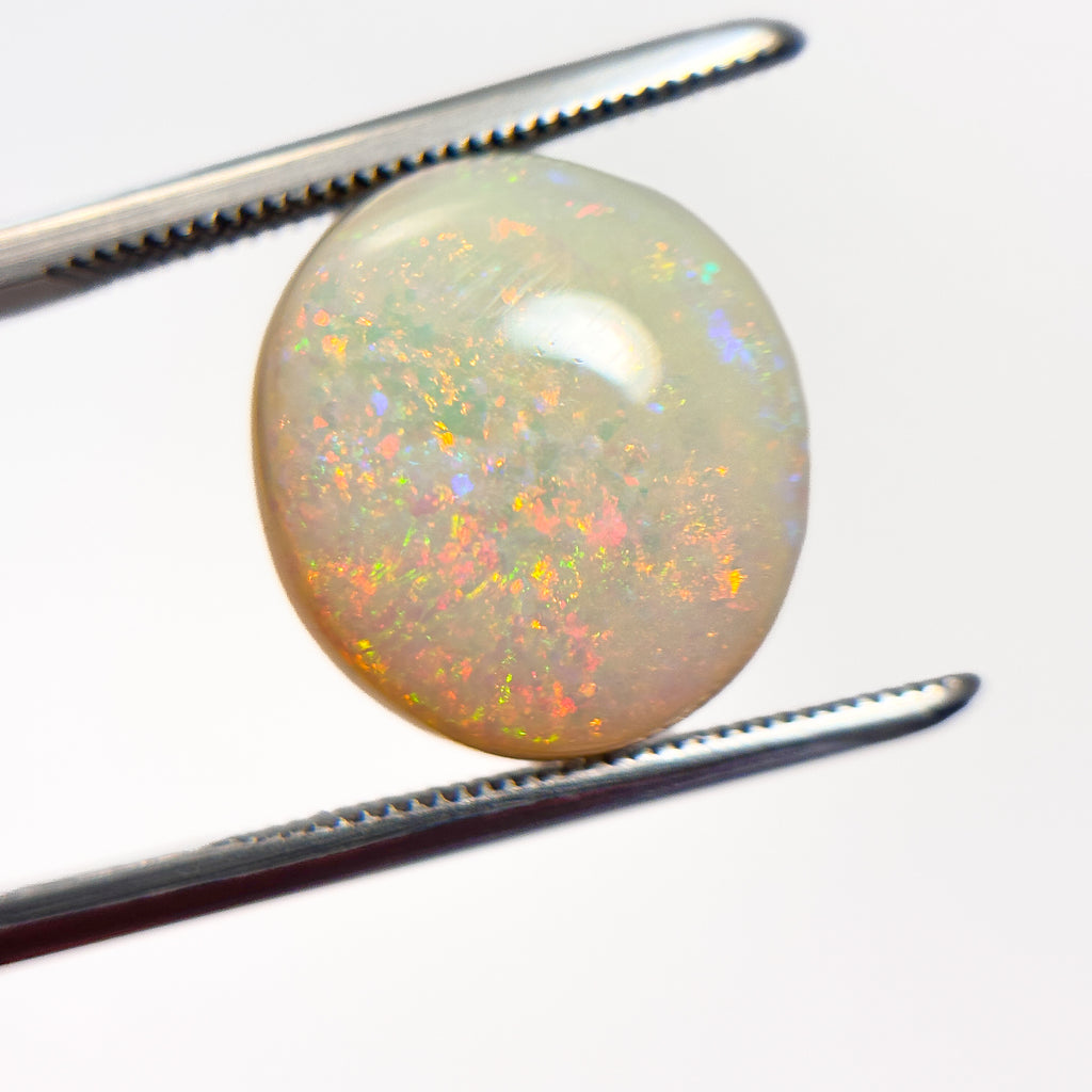 White Opal Red Multicolour 14x13x5 Cabochon Oval 6.7 Carat