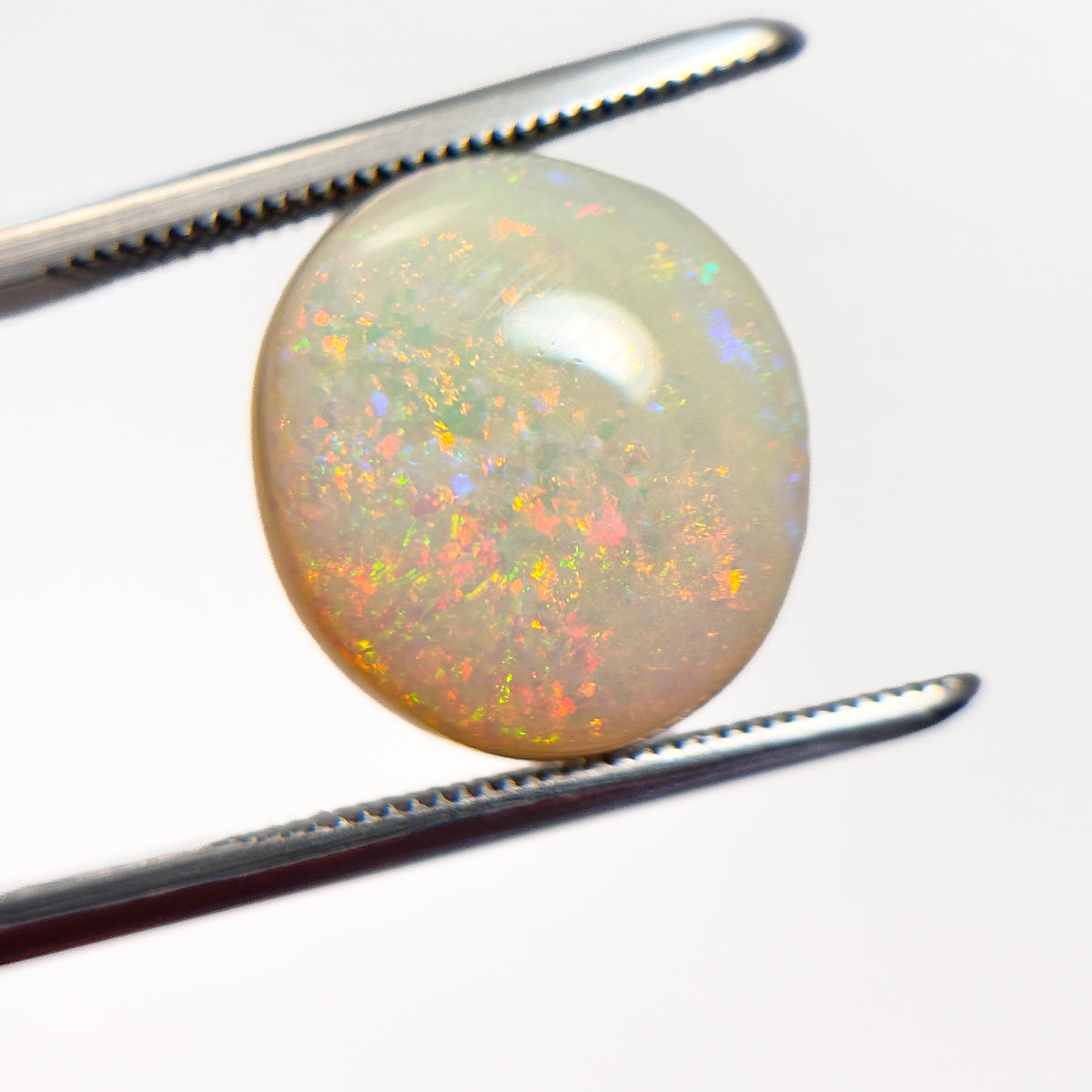 White Opal Red Multicolour 14x13x5 Cabochon Oval 6.7 Carat