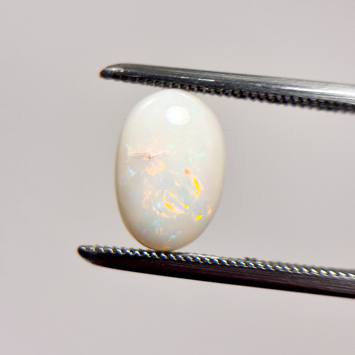 White Opal Multicolour 10x7x3.5 Cabochon Oval 1.8 Carat