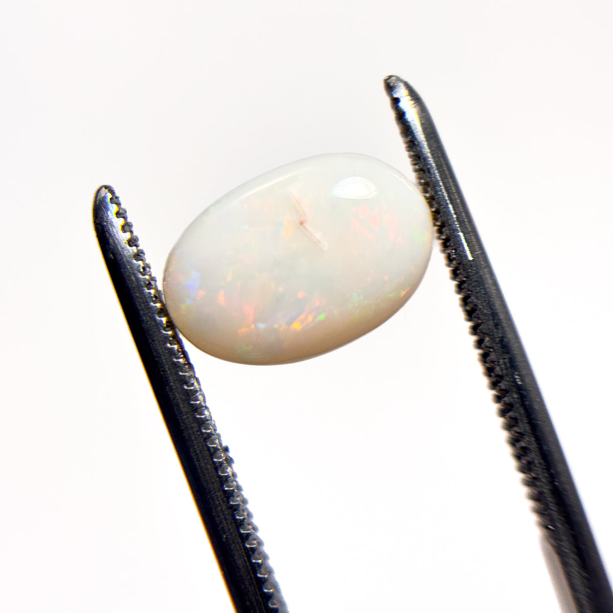 White Opal Multicolour 10x7x3.5 Cabochon Oval 1.8 Carat