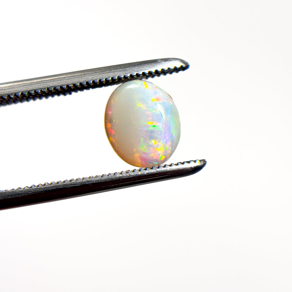 White Opal Red Multicolour 8x7x3 Cabochon Oval 1.2 Carat