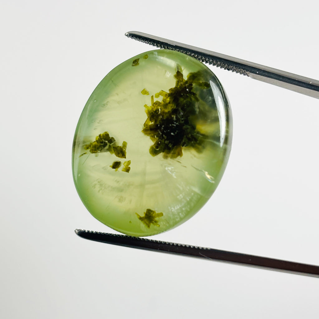 Green Prehnite 25x21x11 Cabochon Oval 51.45 Carat