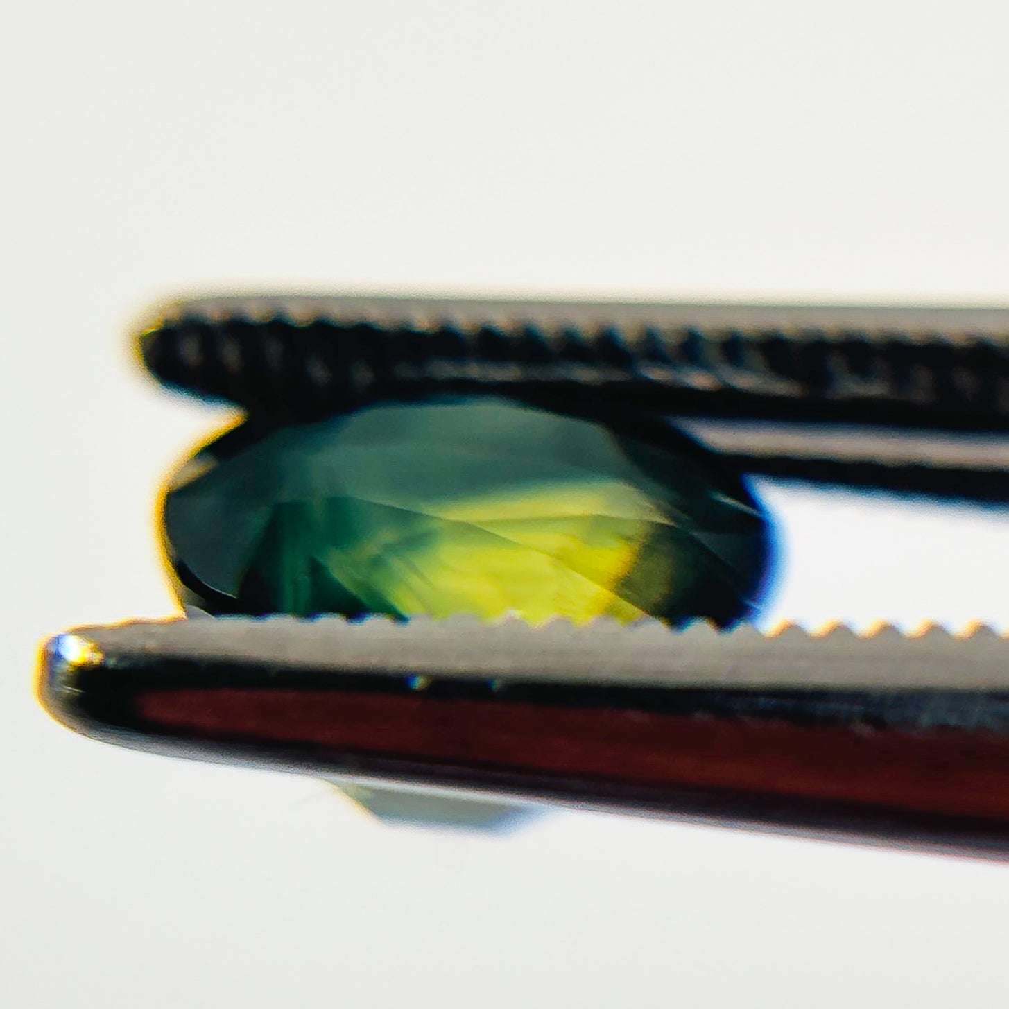 Blue Green Sapphire 6.9x7.9x5.2 Facet Oval 2.54 Carat