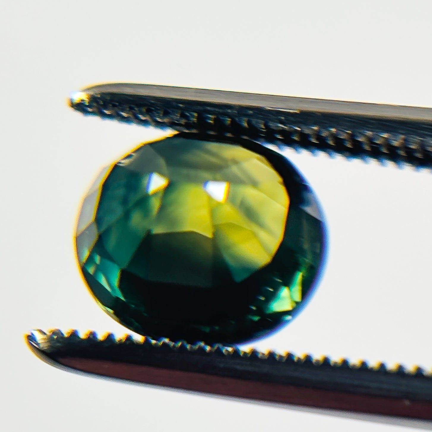 Blue Green Sapphire 6.9x7.9x5.2 Facet Oval 2.54 Carat